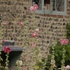 Village cottage