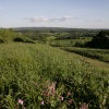 North Downs Way
