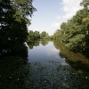 The Lake