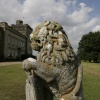 The Lion