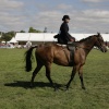 Edenbridge and Oxted Show