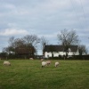 Meadow next to the Church