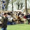 St George's Day 2006
