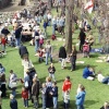 St George's Day 2006