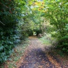 Autumn walk