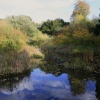 Park walk and the pond