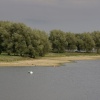The Lake