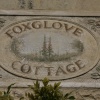 Foxglove cottage.
