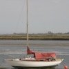 On the Estuary
