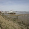 On the River bank