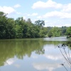 The lake at Dudmaston