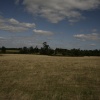 The Weald