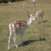 The Kent Weald