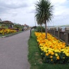 Garden in Weymouth, Dorset