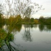 The lake at Nidd