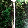 St. James South Elmham Village sign