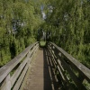 Small bridge in the park