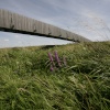 The bridge