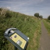 The path