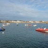 Elie