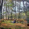 Burley, Hampshire