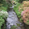 River in Bodnant