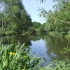 Peace and Tranquility