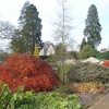 Autumn colours