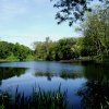 Lake view at Renishaw Hall