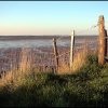 The River Blackwater at Steeple