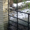 The Robin