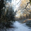 Path in Saltwells Nature Reserve