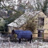 Cosy horse