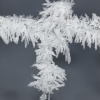 Hoar frost