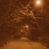 A winter night
