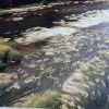 Hairy river