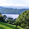 View over the River Dart