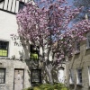 In the spring 2009
