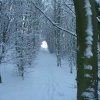 Carr Lane, Ulley In Winter