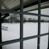 Dulwich park 2010