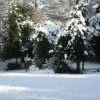 Taylor Park snow