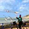 Feeding the gulls in Eastbourne