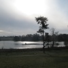 Blenheim grounds