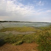 River Stour Estuary