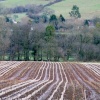Winter field