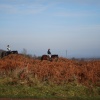 Horse riding at Castlemorton Common