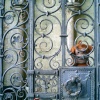 Bath Monkey at the gate