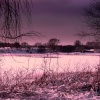 Snowy Dawn