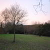 As the sun goes down on the river bank