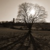 Shadowlands